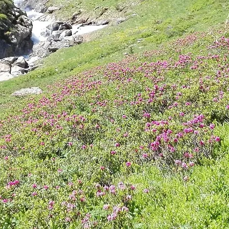 Ewald Siller شقة نيوستيف ام ستوبيتا