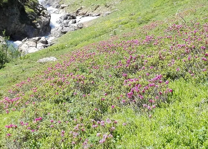 Ewald Siller Apartman Neustift im Stubaital