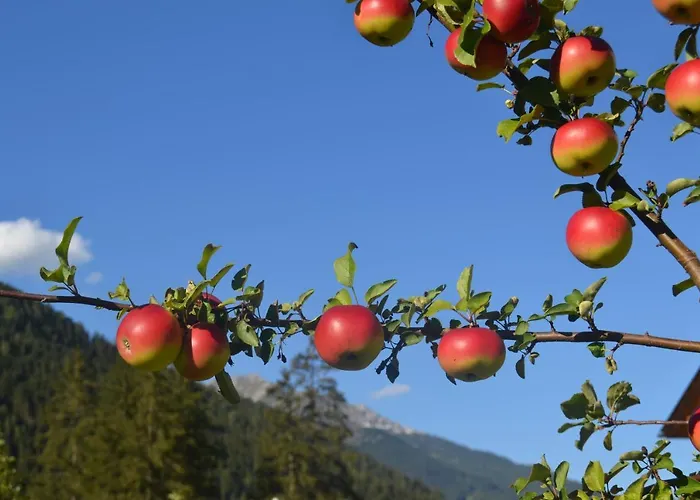 Ewald Siller * Neustift im Stubaital