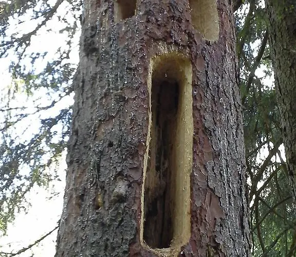 埃瓦尔德席勒公寓